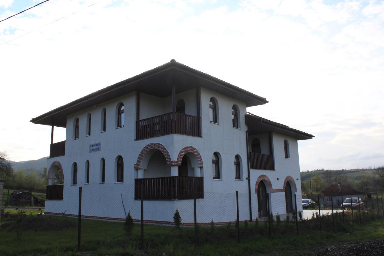 Pensiunea Casa Ungur Cetea Экстерьер фото