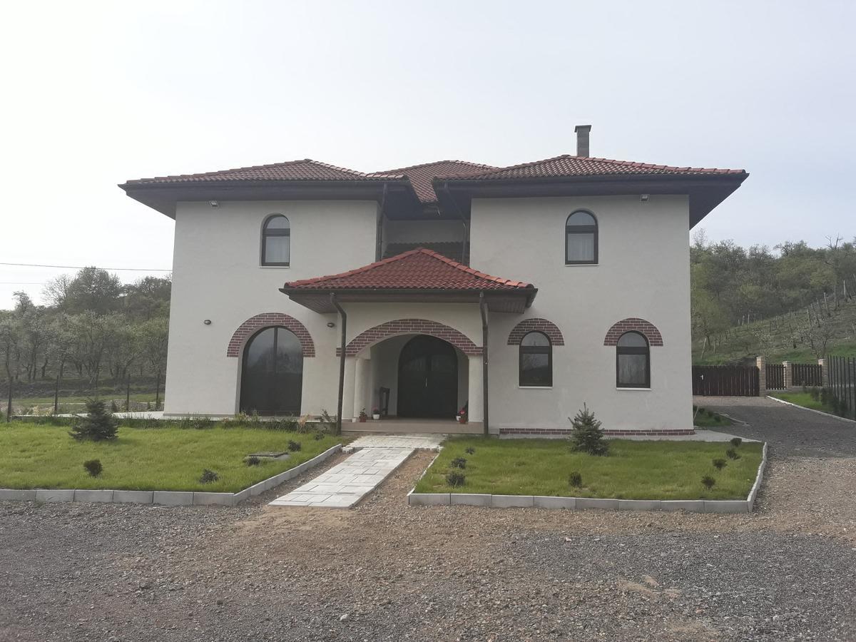 Pensiunea Casa Ungur Cetea Экстерьер фото
