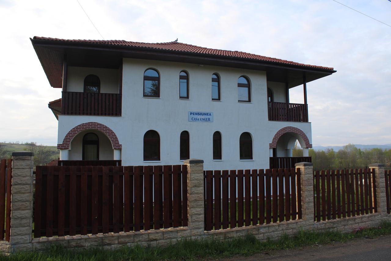 Pensiunea Casa Ungur Cetea Экстерьер фото